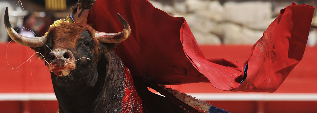 05/08/2008.Bullfighting in Nimes during th 'Feria de Pentecote'.Corrida de Toros.e